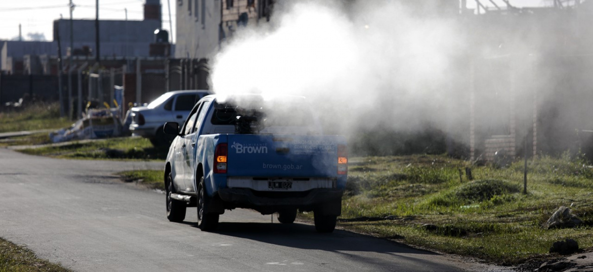 El municipio profundiza los operativos de fumigación y recomienda descacharrar en cuarentena