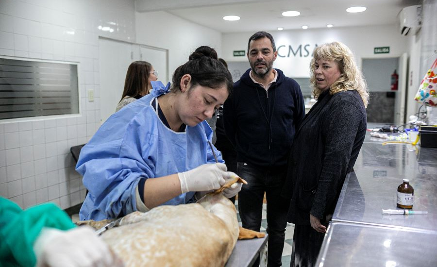 Una delegación de Córdoba visitó Zoonosis Brown para conocer y replicar su modelo de sanidad animal