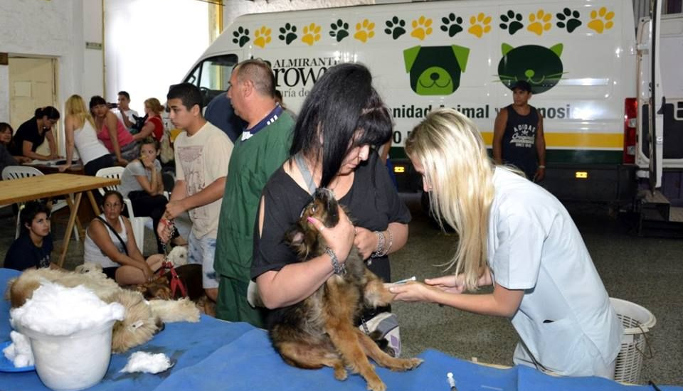 Continúan los operativos de castración y vacunación de mascotas