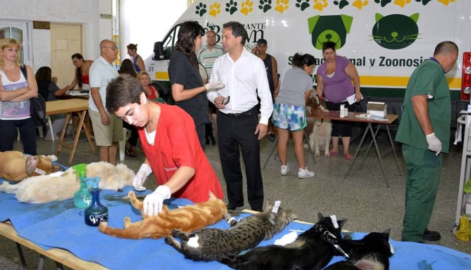 Continúan en Longchamps los operativos de castración gratuita de perros y gatos